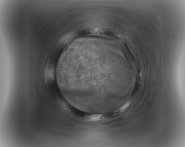 X0000086730090200704271639