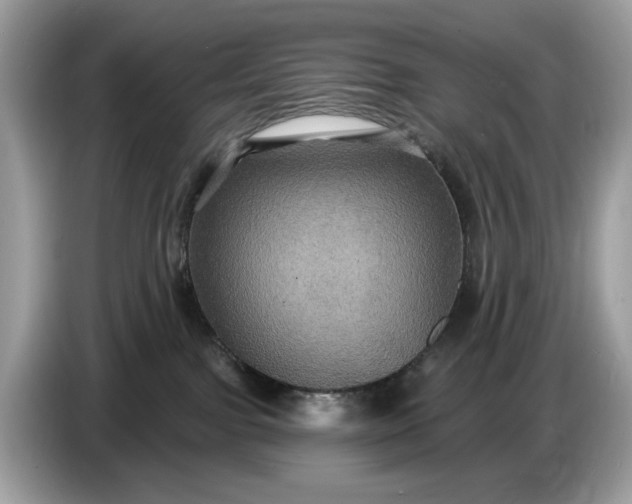 X0000086730091200704271639