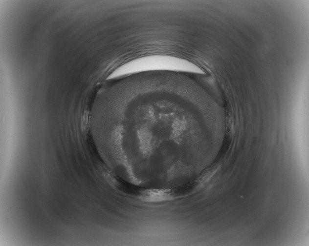 X0000086730093200704271639