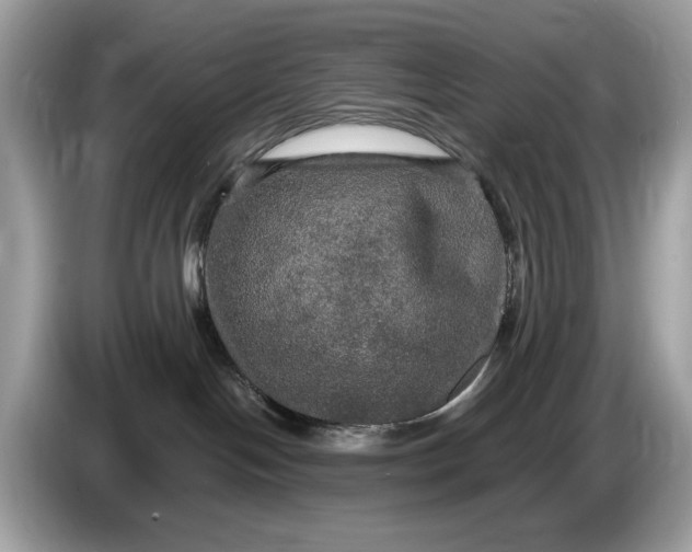 X0000086730094200704271639