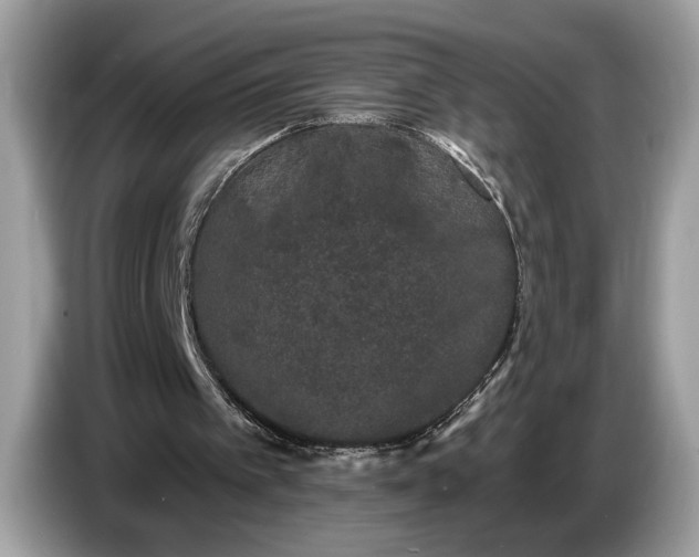 X0000086730097200704271638