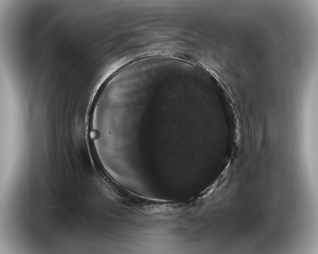 X0000086730100200704271638