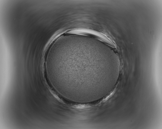 X0000086730101200704271638