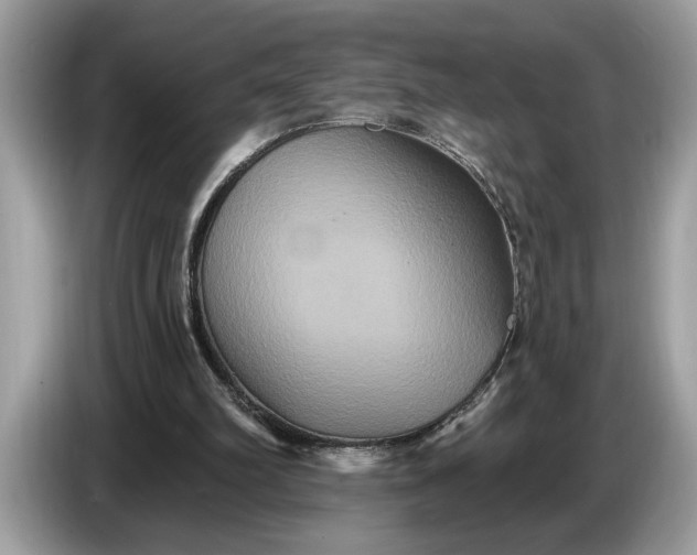 X0000086730102200704271638