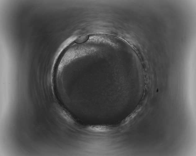 X0000086730104200704271638