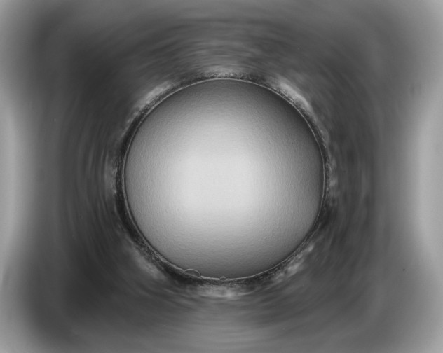 X0000086730106200704271638