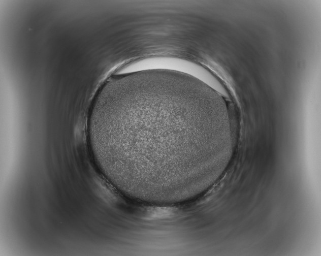 X0000086730107200704271638