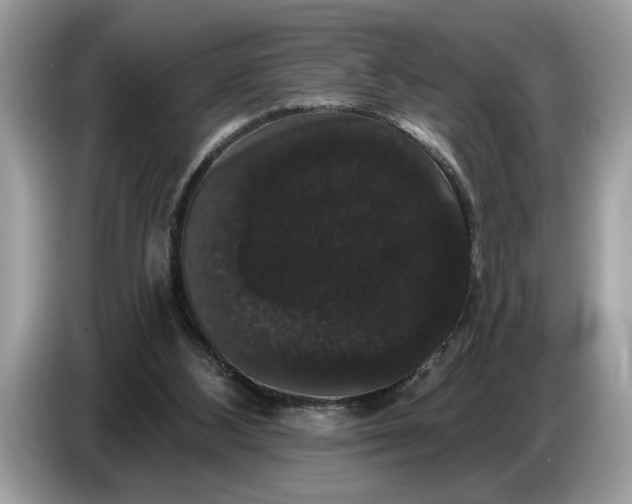 X0000086730108200704271638