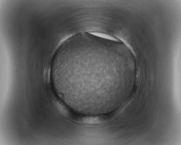 X0000086730110200704271638