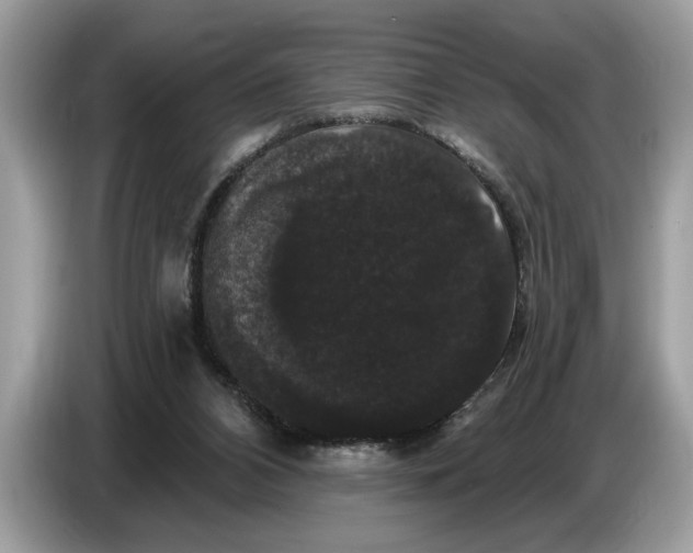 X0000086730112200704271638