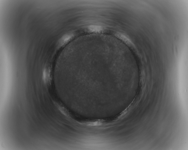 X0000086730116200704271638