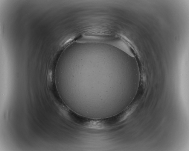 X0000086730117200704271638