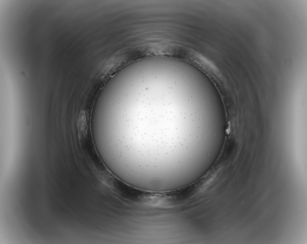 X0000086730121200704271638