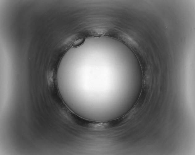 X0000086730122200704271638