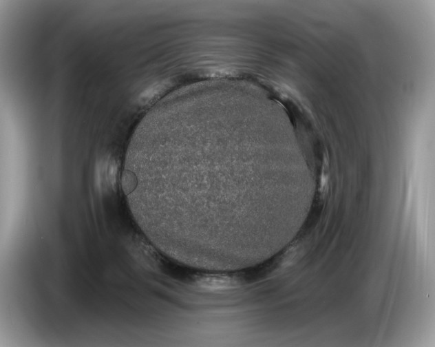 X0000086730123200704271638