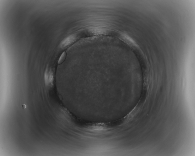 X0000086730124200704271638