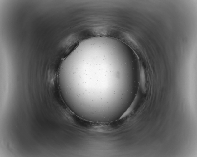 X0000086730125200704271638