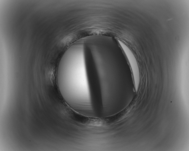 X0000086730127200704271638