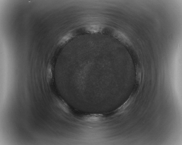 X0000086730128200704271638