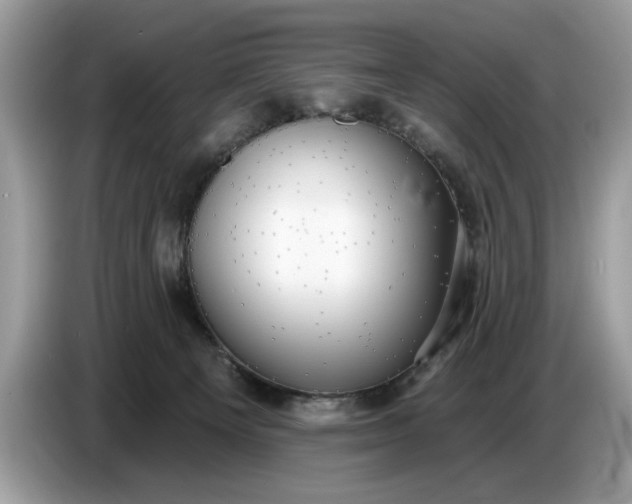 X0000086730129200704271638