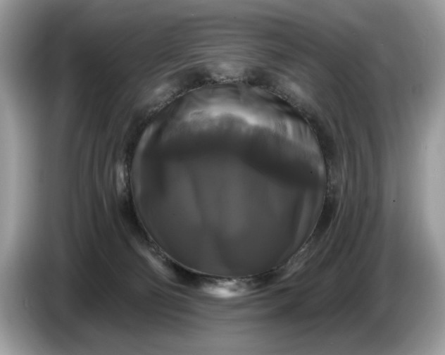 X0000086730130200704271638