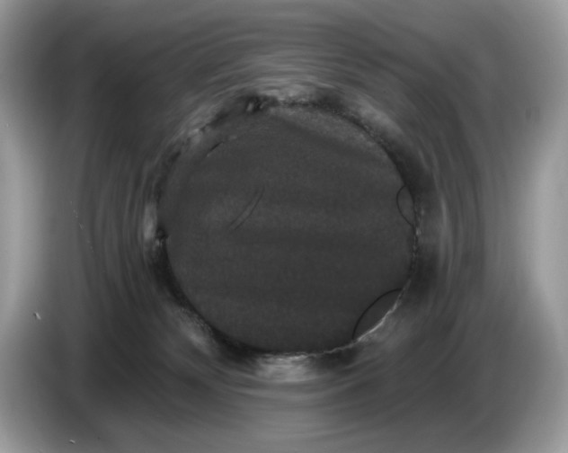 X0000086730132200704271638