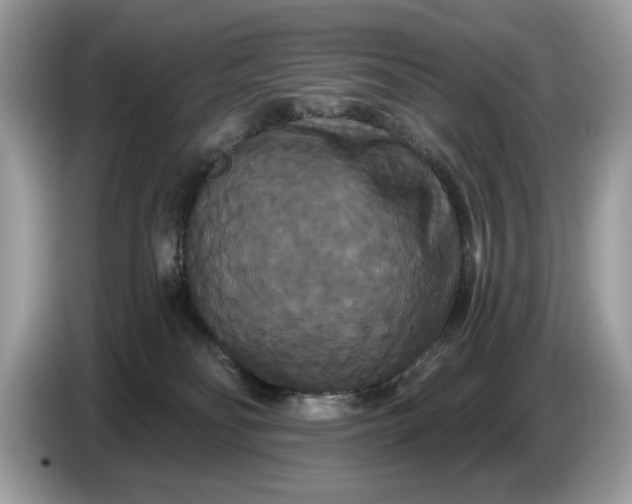 X0000086730134200704271638