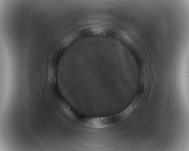 X0000086730136200704271638