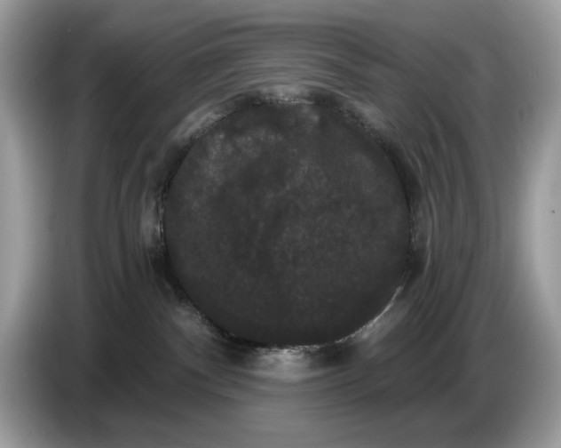 X0000086730140200704271638