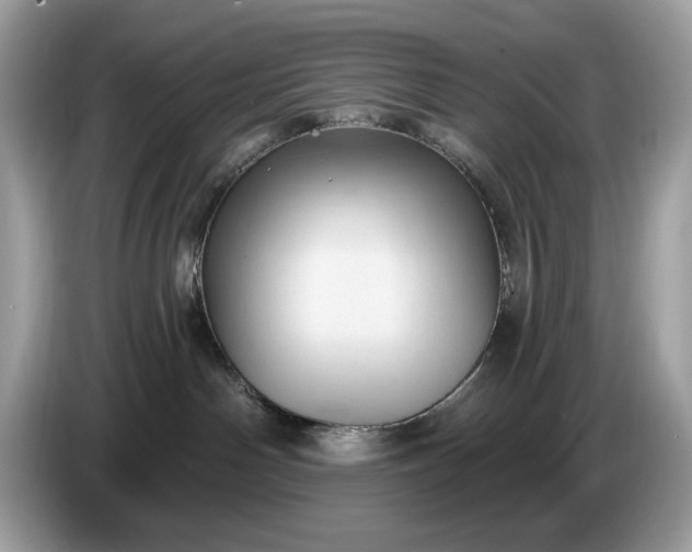 X0000086730142200704271638