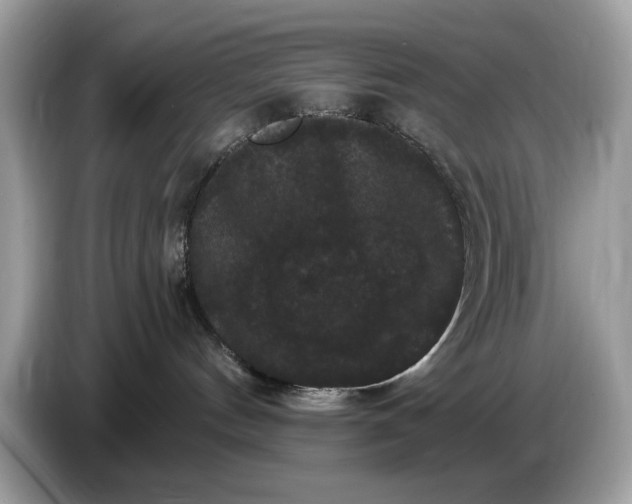 X0000086730144200704271638