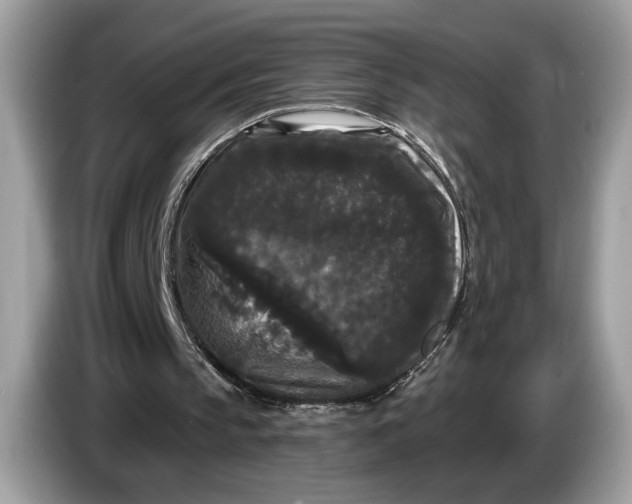 X0000086730145200704271637