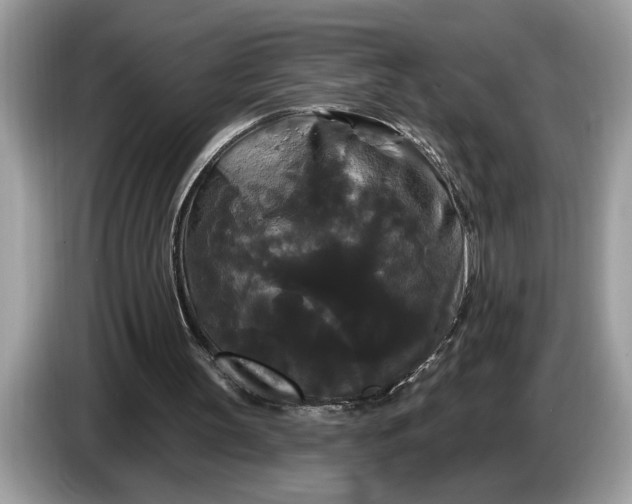 X0000086730147200704271637