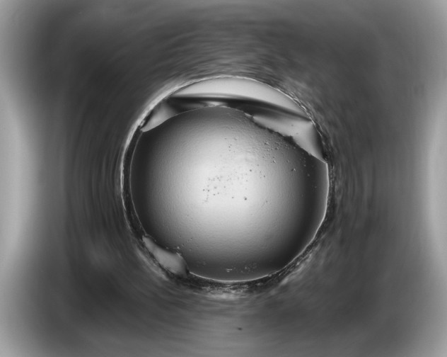 X0000086730148200704271637