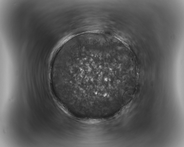 X0000086730149200704271637