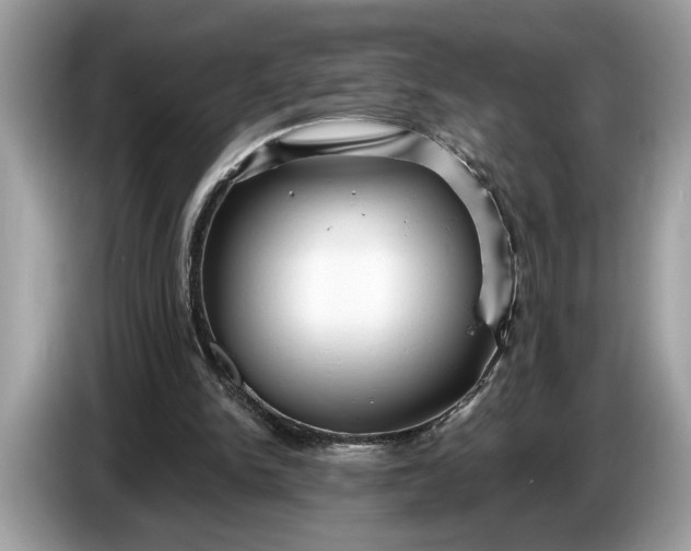 X0000086730150200704271637