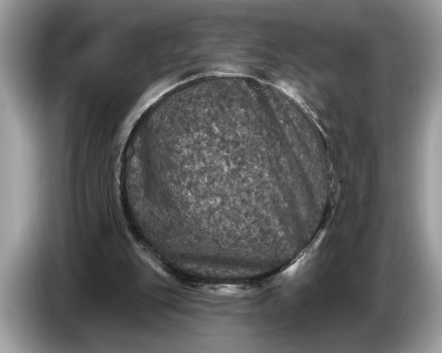 X0000086730151200704271637