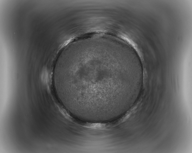 X0000086730153200704271637