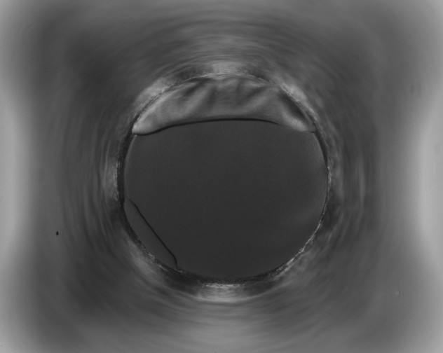 X0000086730154200704271637