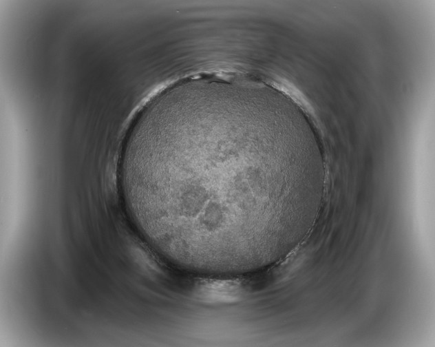 X0000086730155200704271637