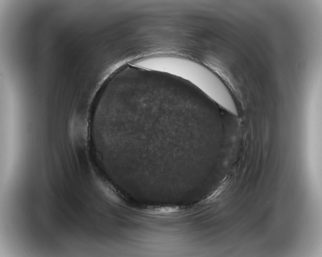 X0000086730156200704271637