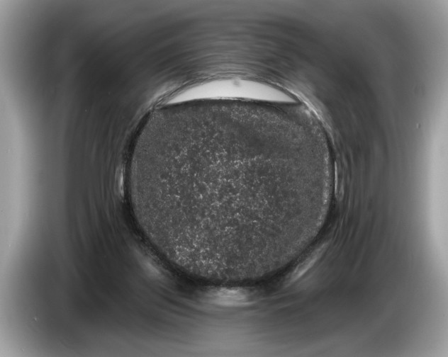 X0000086730157200704271637