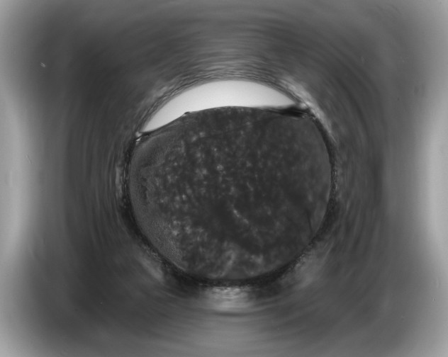 X0000086730161200704271637