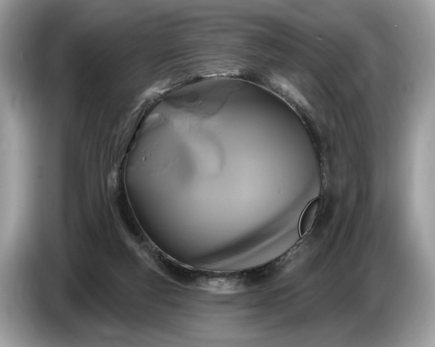 X0000086730163200704271637