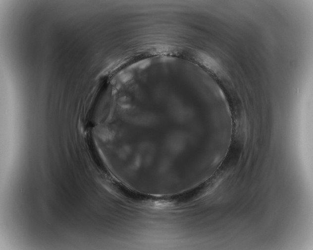 X0000086730165200704271637