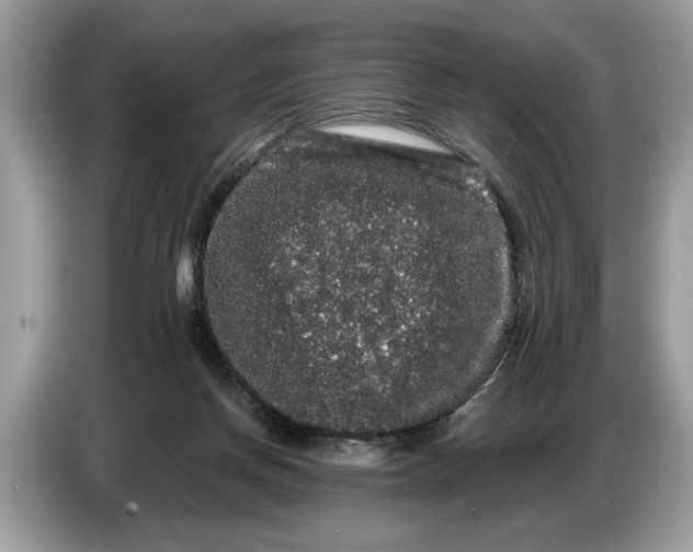 X0000086730166200704271637