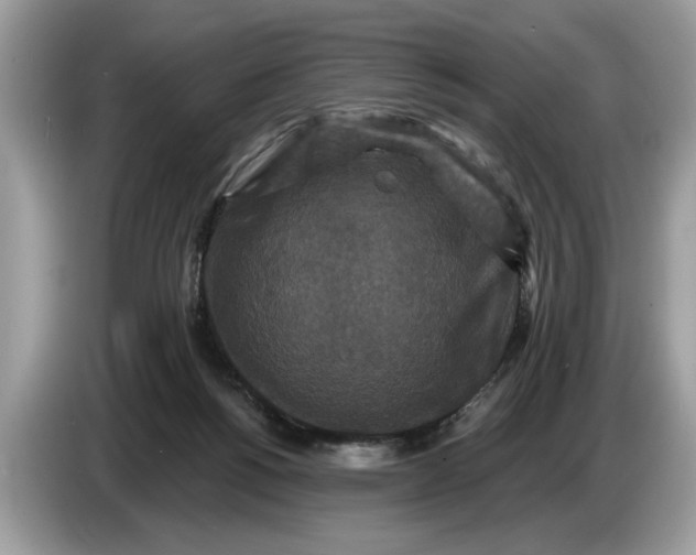 X0000086730168200704271637