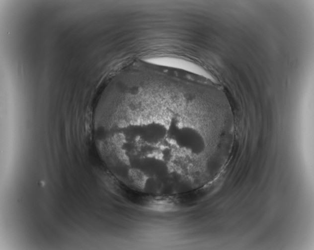 X0000086730175200704271638