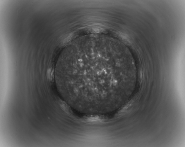 X0000086730177200704271638