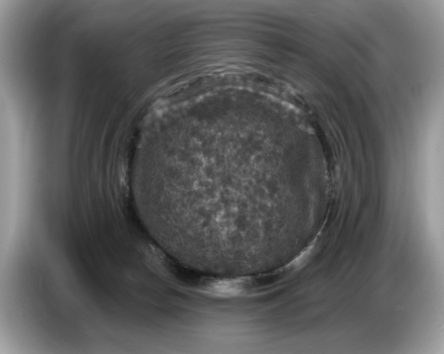 X0000086730178200704271638